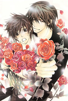 Sekai-ichi Hatsukoi (OAV)