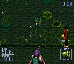 Bassins Black Bass with Hank Parker