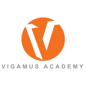 Master in Animation 2D Paperless Artist - Vigamus Academy